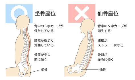 後入姿勢